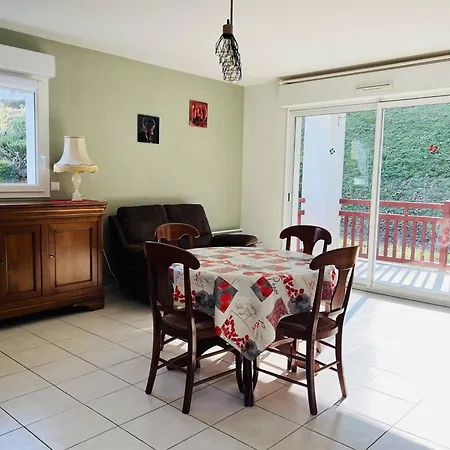Apartment Confortable T2 Avec Terrasse, Parking, Et Internet A Cambo-les-bains, Proche Thermes Et Centre - Fr-1-495-95 Cambo-les-Bains